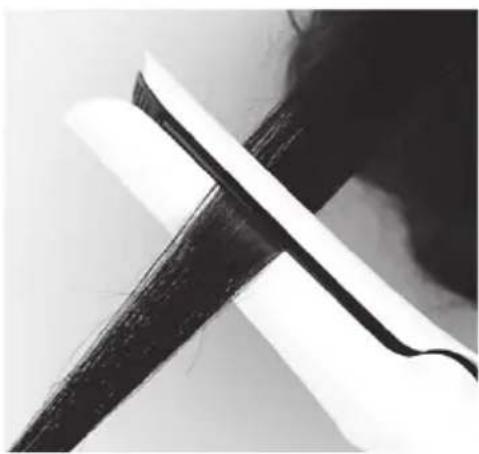 SILVERCREST SHS 25 A1 - Moldeado del cabello - 2