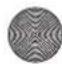 SILVERCREST SHBS 500 B1 - Leverancier - 1