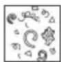 PARKSIDE PNTS 1300 C3 - Pictograms regarding the use of nozzles and filters - 8
