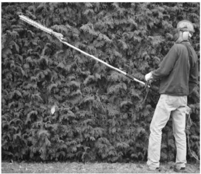 FLORABEST FHL 900 C4 - GB/IEOperationandSafetyNotesPage 5 - 3