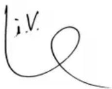 BTI WKS 125 VRE - Declaración de conformidad CE - 2