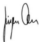 BTI WKS 125 VRE - Declaração de conformidade CE - 1