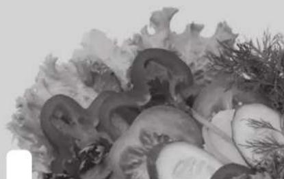 RIVIERA & BAR QPL345 - Ingredients - 1