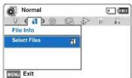 SAMSUNG HMXF900BP - File Info - 2