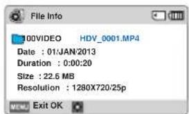 SAMSUNG HMXF900BP - File Info - 3