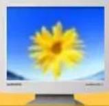 SAMSUNG SyncMaster 171N - Vérifiez les éléments suivants pour voir s'il y a des problèmes avec le moniteur. - 1