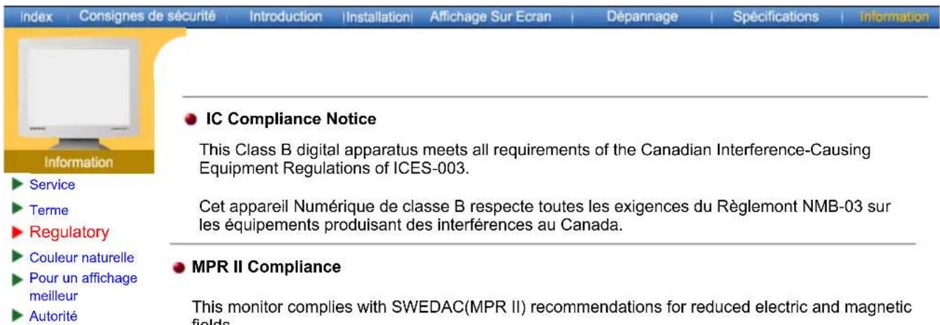 SAMSUNG SyncMaster 171N - VCCI - 1