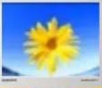 SAMSUNG SyncMaster 171N - Conventions de Notation - 7