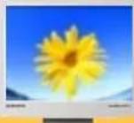 SAMSUNG SyncMaster 171N - Comment supprimer le programme logiciel de la Couleur Naturelle - 1