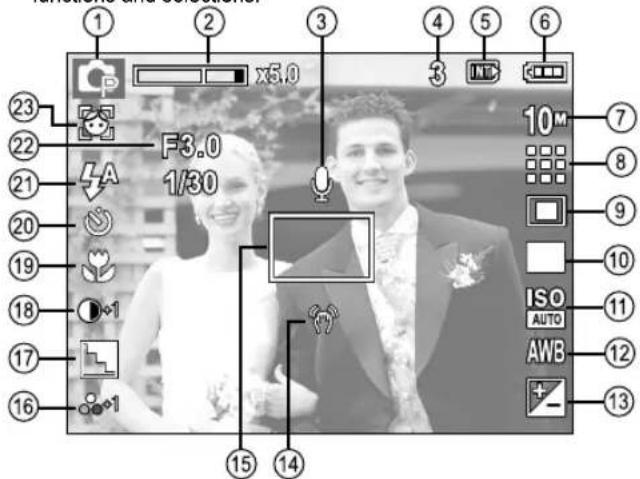SAMSUNG D1070 - LCD monitor indicator - 1