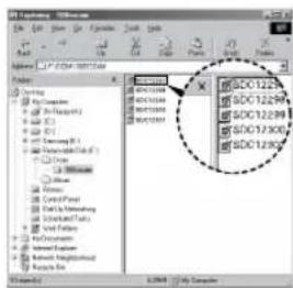 SAMSUNG D1070 - Fazendo o download de imagens - 2