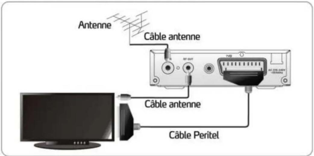 Lenson LT 2010 - Raccordement au téléviseur et chaîne hifi - 1