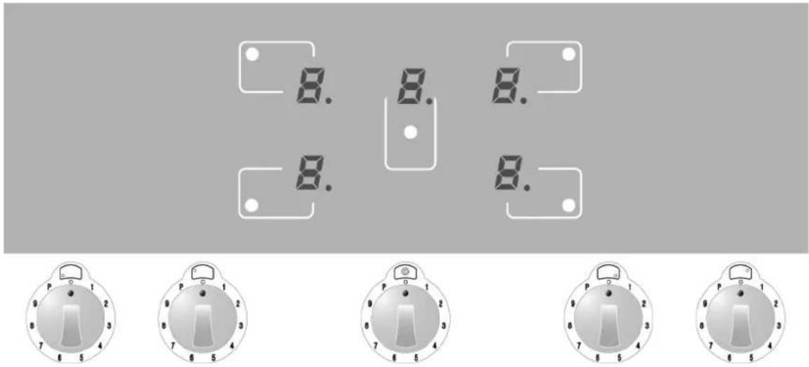 Steel Cucine Adagio - Erstes Einschalten des Induktionsherds - 1