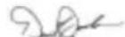 GREENWORKS 9000107 - GARANTIE LIMITA - 1