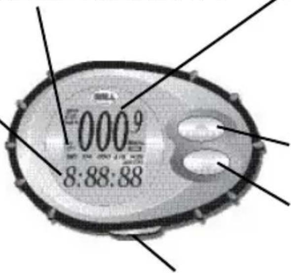Bell SpinFit - LOWER SCREEN - 1