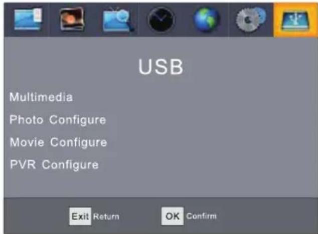 Sunstech DTB4660HDBK - USB - 1