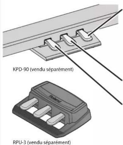 ROLAND FP60 - Pédales (KPD-90 / RPU-3 : vendues séparément) - 1