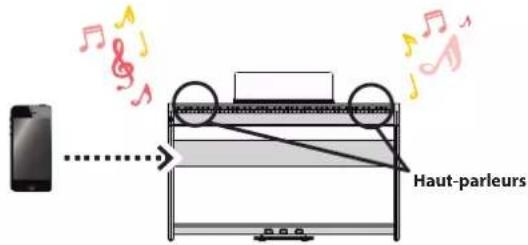 ROLAND FP60 - Possibilities de cette fonction - 1