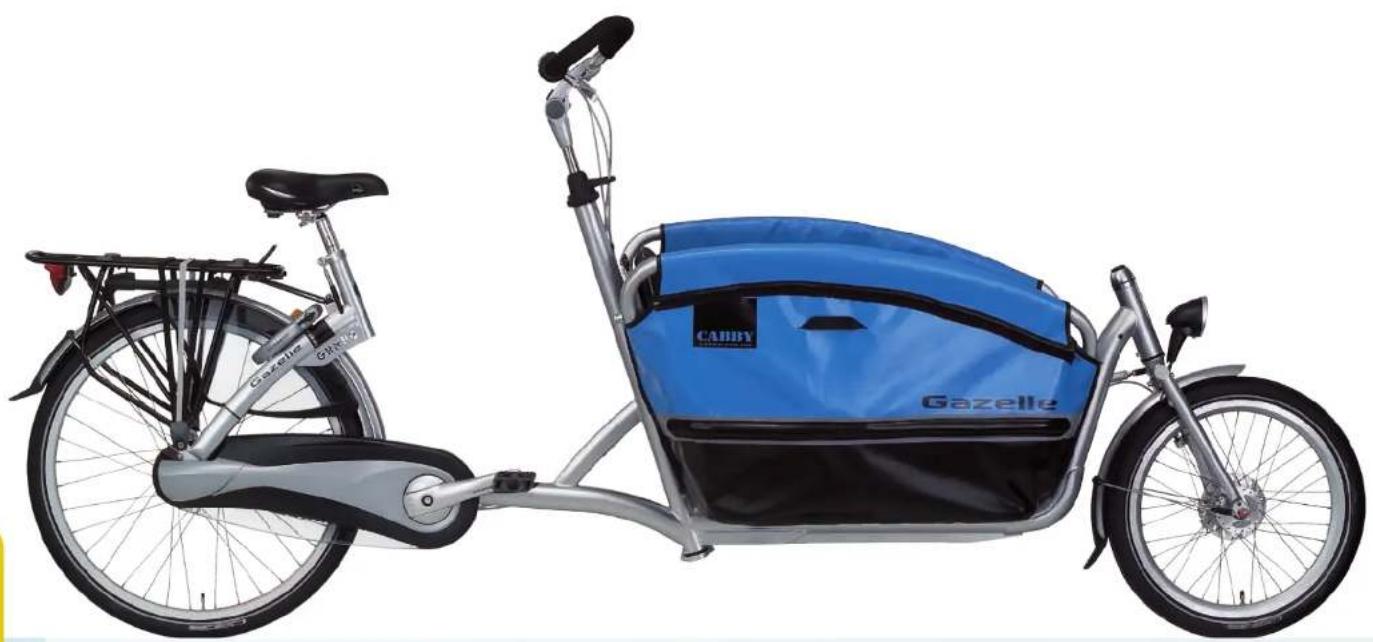 Gazelle Cabby - Toutes ces options sont disponibles auprès de vous détaillant. - 26