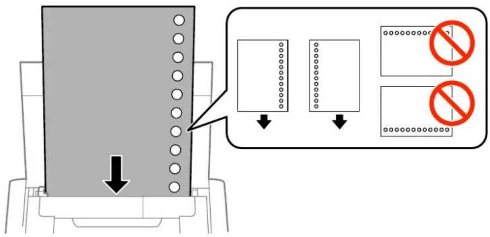 EPSON PXS05W - - 名刺 - 2