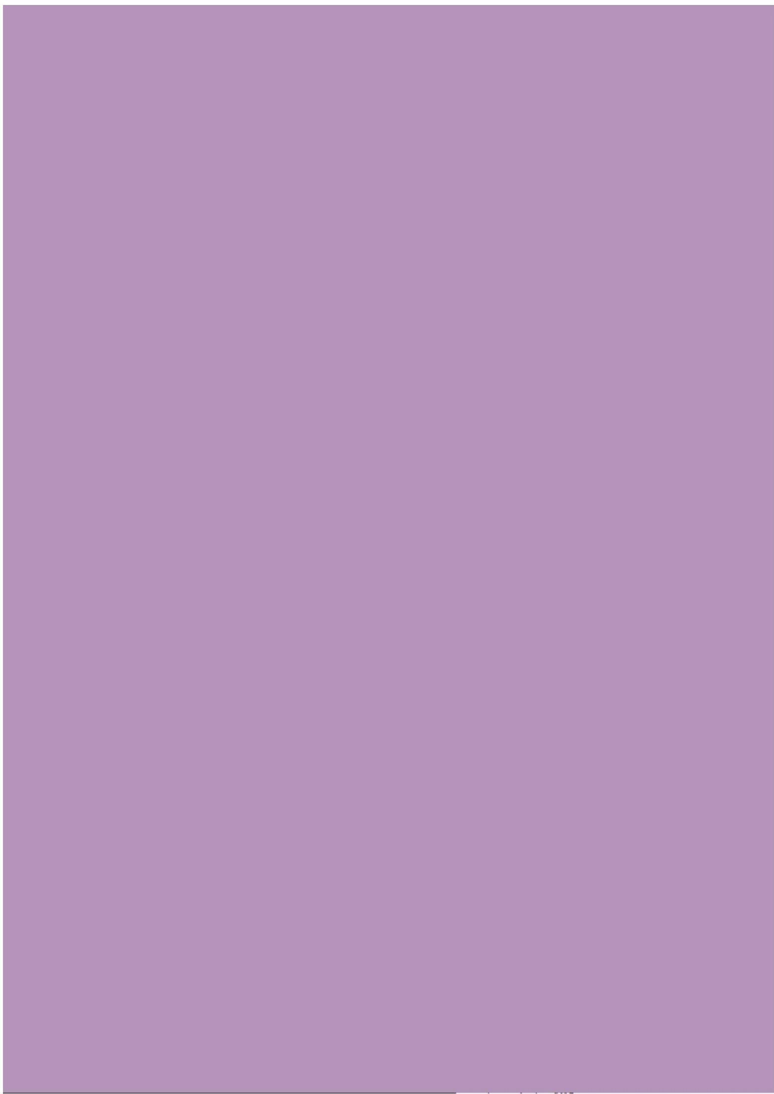 SAMSUNG SPH800BE - Nom des branchements externes - 11