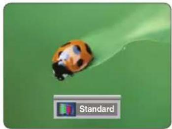 SAMSUNG SPH800BE - Sélection du mode image - 4