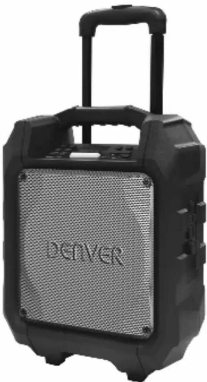 DENVER TSP303 - H∅YTALER - 1