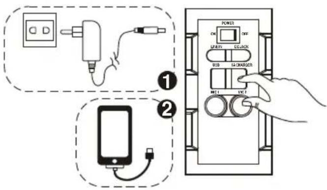 DENVER TSP303 - WEJ·CIE LINIOWE - 2