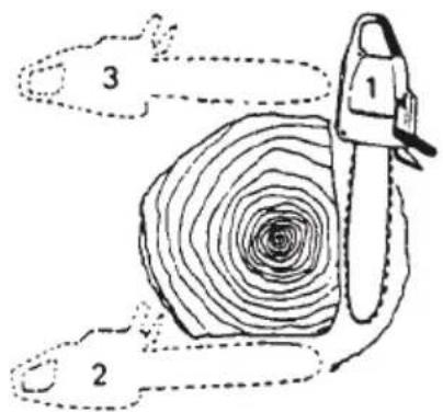HITACHI CS 33EB - THICK LOG, LARGER THAN GUIDE BAR LENGTH - 1