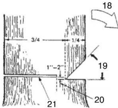 HITACHI CS 33EB - BASIC RULES FOR FELLING TREES - 1