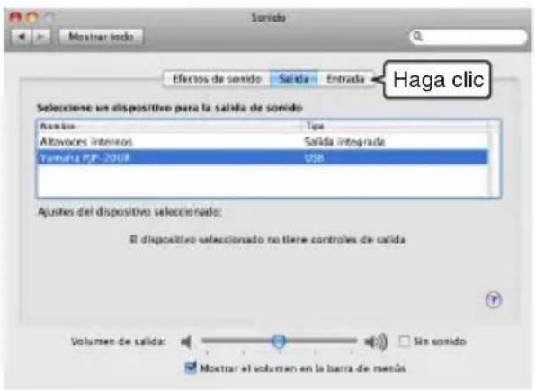 YAMAHA PJP20UR - Hagablick en la pestaña "Entrada". - 1