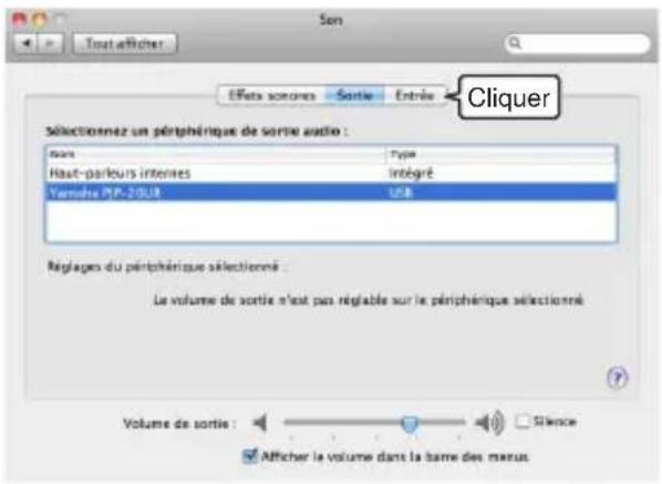 YAMAHA PJP20UR - Cliquez sur l'onglet "Entrée". - 1