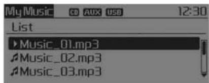 KIA Carens (2015) - Information (Informations) - 1