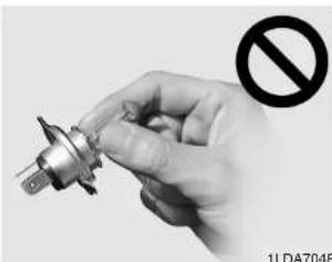 KIA K2500 (2008) - (Suite) - 1