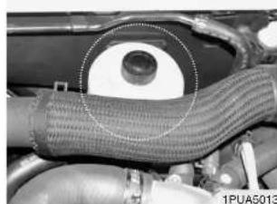 KIA K2500 (2008) - DIRECTION ASSISTEE (SI PRÉSENT) - 1