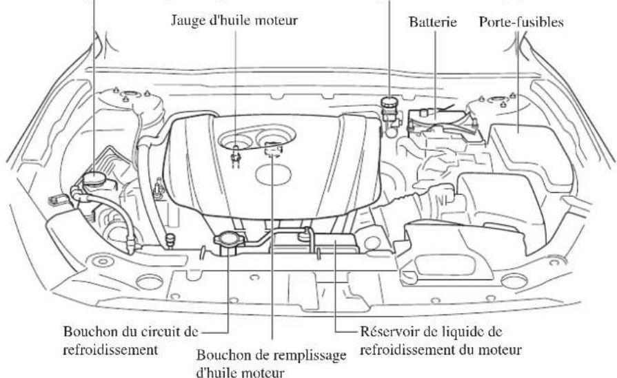 MAZDA 3 Hatchback (2016) - Vue générale du compartmentement moteur - 1
