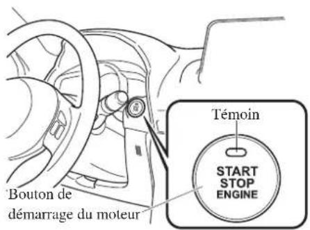 MAZDA 3 Hatchback (2016) - (Boitedevitessesautomatique) - 1