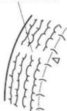 MAZDA 3 Hatchback (2016) - Remplacer tous les quatre pneus en même temps: - 2