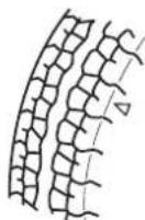 MAZDA 3 Hatchback (2016) - Remplacer tous les quatre pneus en même temps: - 1