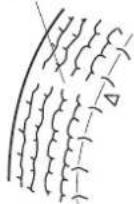 MAZDA 3 Hatchback (2016) - N'utiliser que des pneus en bon etat: - 2