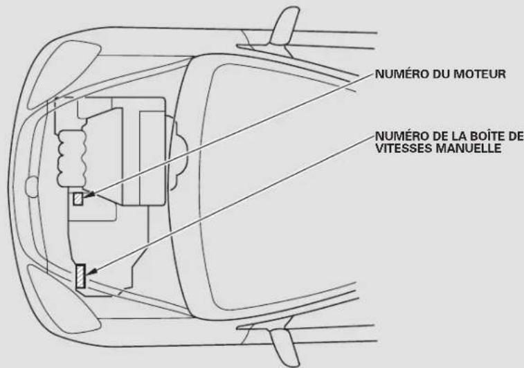 Honda Civic Hatchback (2004) - Numeros d'identification - 2