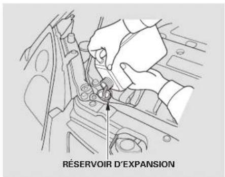Honda Civic Hatchback (2004) - Appoint du liquide de refroidissement du moteur - 1