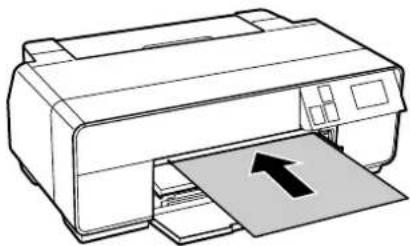 EPSON SCPX5V2 - ボード紙 - 1