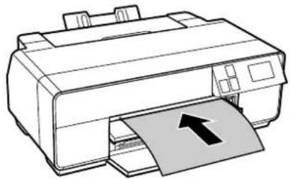 EPSON SCPX5V2 - ファインアート紙 - 1