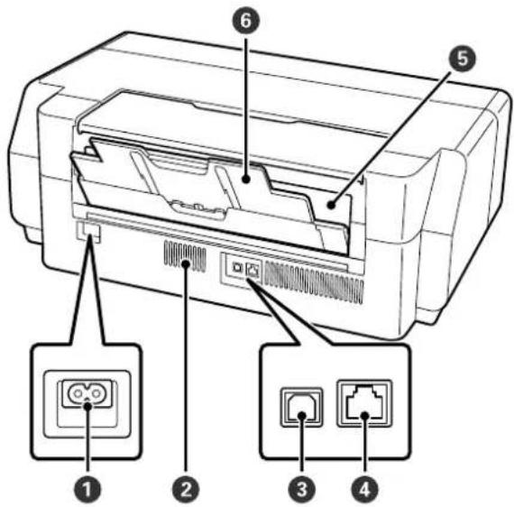 EPSON SCPX5V2 - 背面 - 1