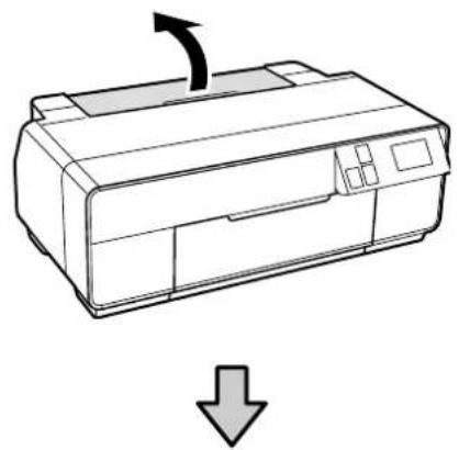 EPSON SCPX5V2 - 用紙のセット - 1