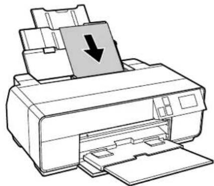 EPSON SCPX5V2 - 用紙のセット - 3