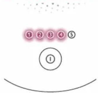 PHILIPS Lumea Advanced BRI921 - B Test skin 24 hours before treatment - 1