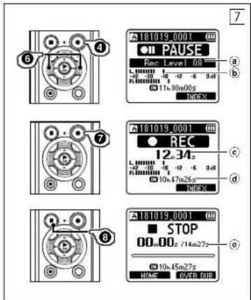 OLYMPUS LSP4 - 19