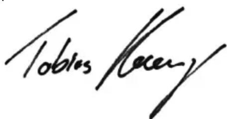 ULTIMATE SPEED HG01040 - Original-Konformitätserklärung - 1